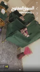  6 برادي وكراسي باديكير مع مغسله