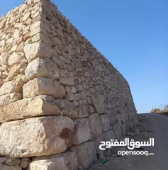  10 استصلاح اراضي بناء سناسل بناء سلاسل تشييك مزارع تشييك اراضي توريد تراب احمر والأشجار المثمرة والزينه