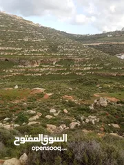  1 أرض للبيع في جفنا