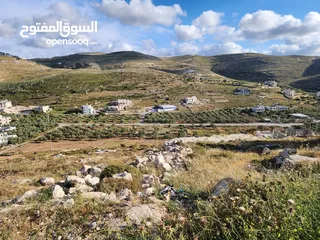  1 ارض في موقع جميل من اراضي بيت امرين (طايو)