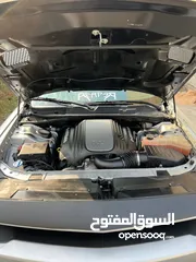  11 جالنجر للبيع