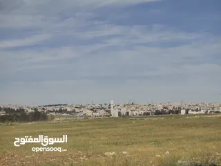  4 ارض للبيع الطنيب حوض (4)  العيادات بالقرب من مشروع الشهد  مساحة 10420 متر