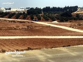  5 أرض 772م للبيع بالأقساط ضمن مشروع أراضي الحمرا عمان ناعور ام القطين