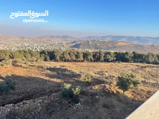  13 فيلا فاخرة على أرض 2000م تصنيف أ A, طابو – زاوية شارعين + مجلس ضيوف مستقل في طوباس