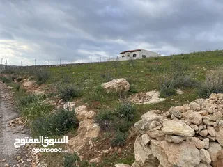  4 ةاطلاله مميزه قطعة ارض في ام رمانه مطله جدا وجميع الخدمات