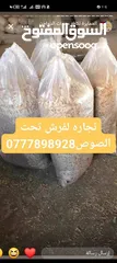  15 صوص لاحم العمايره اعلاف لاحم للصوص والدجاج  وبياض واعلاف محلات بيع الدجاج واعلاف مركز للدواجن