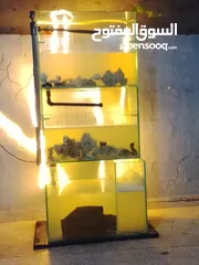 5 حوض سمك مع كامل معدادو