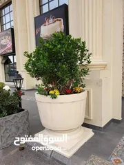  10 حواض للزراعه حجر صناعي مكفوله وبسعر مناسب مع التوصيل والتحميل والتنزيل علينا