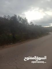  12 القبة الذهبية  شارع بلعا-دير الغصون