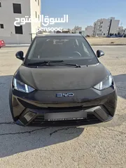  18 BYD SEAGULL 305km