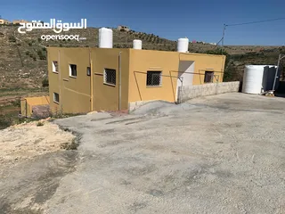  2 منزل ومزرعة للبيع في منطقة المريجمة-مادبا