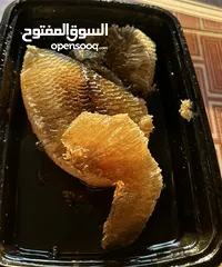  4 عسل سدر ابو طويق للبيع