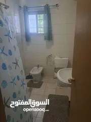  5 استيديوهات مفروشة شامل ماء وكهرباء وانترنت