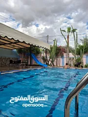  26 شاليه لقطة للبيع الغور شميساني الغور طابقين مع بركة بسعر محروق للبيع المستعجل