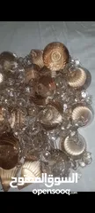  3 كرستال  طبيعي  100٪ على فحص