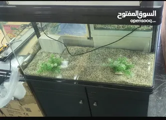  1 حوض سمك اجنبي مع طاوله ماركه BOYU قياس عرض متر العمق 30 سم ارتفاع 45 سم