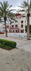  14 Furnished Apartment for rent daily ,weekly at Jebel Sifah شقة للايجار اليومي في جبل السيفة