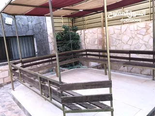  12 شاليه Rose Al Emad المميز للايجار الغورالبحر الميت  للايجار   يومي او اسبوعي او شهري خصم 50 بالميه