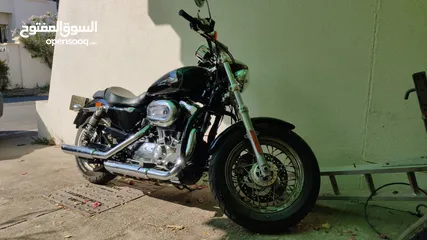  3 2016 Harley Davidson sportster custom 1200 - second owner