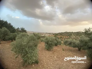  16 للبيع: أرض بإطلالة خلابة وموقع هادئ في دابوق من المالك مباشرة فيها منسوب