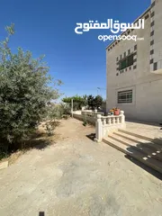  6 بيت طابقين