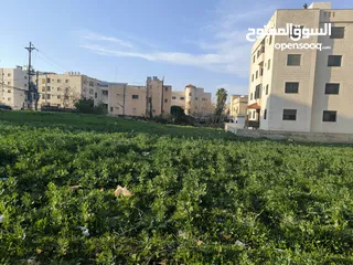  1 أرض للبيع في إربد /ايدون