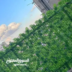  4 الزرقاء ل جديده شبك ورد مقاس 3متر ب متر