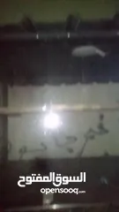  4 عربيه جديده للايجار  الله يرزق الجميع