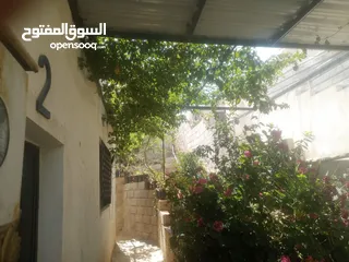  6 منزل مستقل جرش اسكان عجرمه  3غرف نوم 2حمام  صاله مع مطبخ امريكي  بلكونه  حديقه مساحه الارض 305