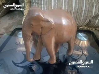  12 مناظر حيوانات للبيع بسعر مغري