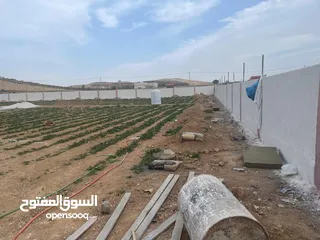  6 ارض زراعية في بلعما للبيع مساحتها 3500 متر