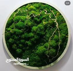  1 Moss walls for houses and office + Gallery 1 art work