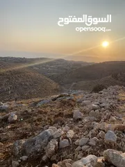  2 أرض سكن أ في منطقة بطنا بالسلط