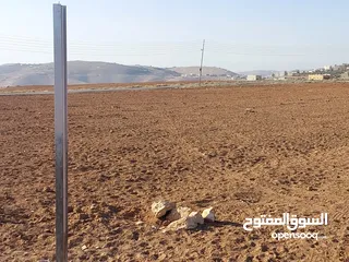  10 مادبا ماعين مشرفه المرعاوي  قطعة ارض زراعية مميزة  ذات اطلالة على البحر الميت واصل الخدمات 4150 متر