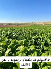  3 قطع أراضي للبيع شرق جرش