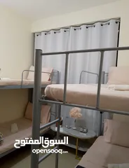  1 4 Deluxe Bedspace for Young Females - Room in Abu Dhabi