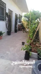  10 بيت مستقل للبيع