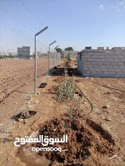 11 مزرعه للبيع مادبا لب