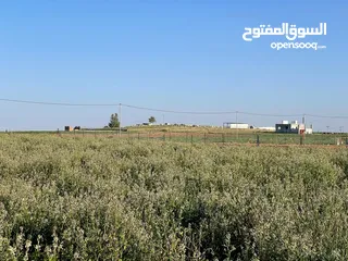  1 ارض زراعية في بلعما للبيع مساحتها 3500 متر
