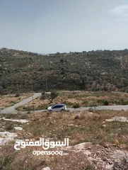  3 ارض للبيع في أراضي بزاريا