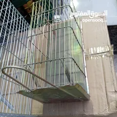  24 فخ مصيدة و قفص    فئران و جرادين و سحالي فوريه خلال دقائق فار فأر