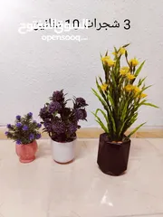  1 فازات مناظر مراي