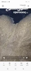  7 بدله عرس للبيع