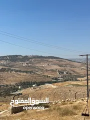  17 أرض 15دونم لبيع بسمر مغري خلف جامعة جرش وخلف مقام النبي هود في أشجار عمر 30سنه وبجانب شالات