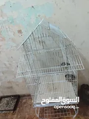  1 قفص لجميع الببغاء
