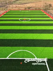  19 عشب ملاعب / عشب حدائق / عشب مدارس / عشب مزارع / عشب صناعي/ نجيل / تارتان Playground grass