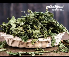  1 بلشت توصي على الملوخية الناشفة؟ استنّى شوي! ليش تشتري ملوخية ناشفة من الهندي وانت بتقدر تجيبها أن