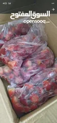  7 شركه ميركاتو العبور للفواكه المجمده و المجففه