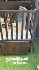  16 بضاعة محل مستعمل ،( كامل...تصفيه )