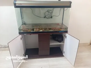  2 حوض سمك للببع